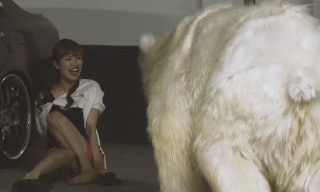 白熊社会科見学 LALSH | polar bear field trip | Qetic