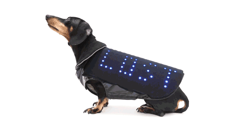 世界初の愛犬用LEDベスト『Disco Dog』全米で話題に！ Disco-Dog-Lost