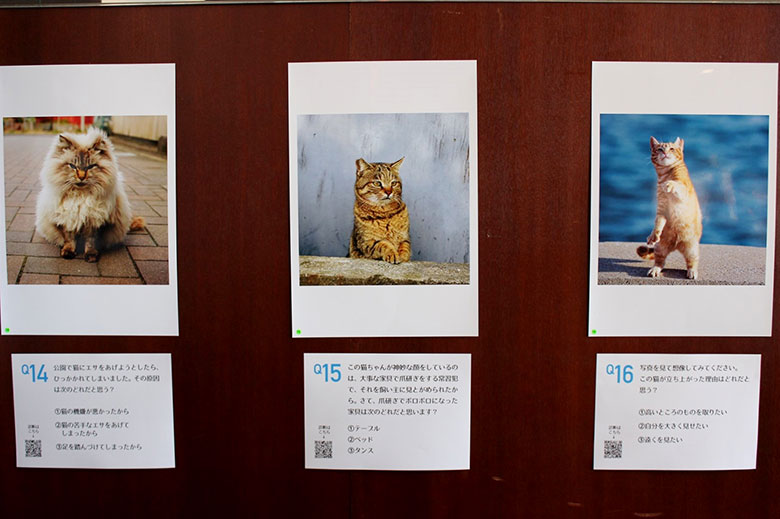 猫が出演、猫グッズ、猫写真心理テスト…猫大集合フェス！ 04b