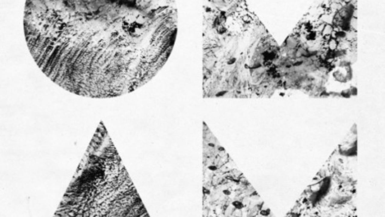 オブ モンスターズ アンド メン 待望の2nd制作背景とは Qetic