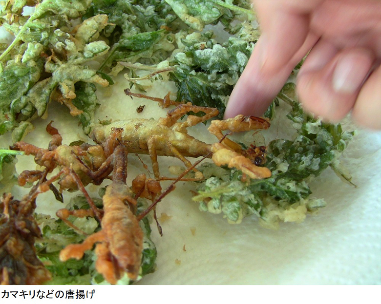 昆虫が唐揚げやアヒージョに。東京虫食いフェスティバル！ food151108_mushikui10