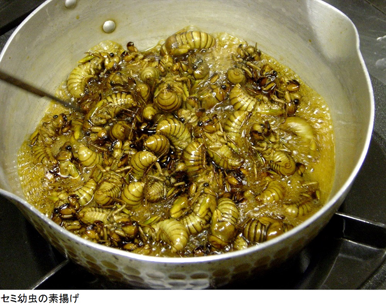 昆虫が唐揚げやアヒージョに。東京虫食いフェスティバル！ food151108_mushikui14