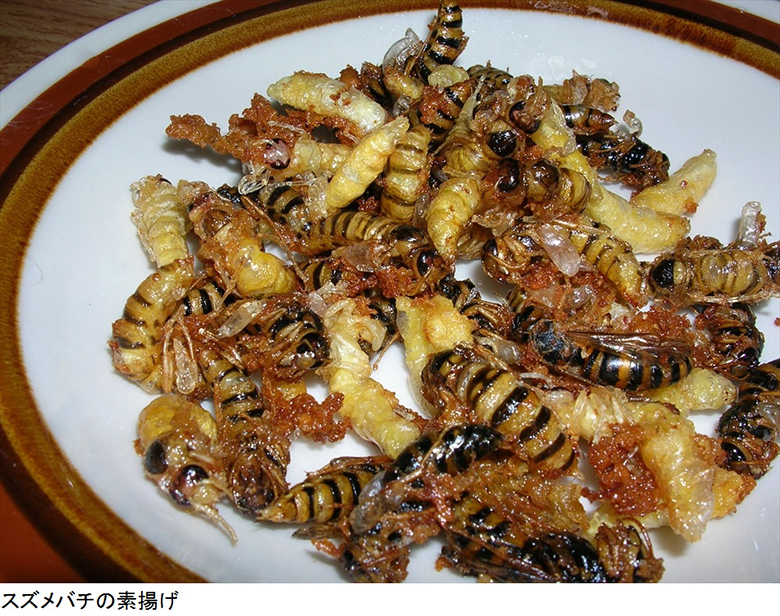 昆虫が唐揚げやアヒージョに。東京虫食いフェスティバル！ food151108_mushikui25