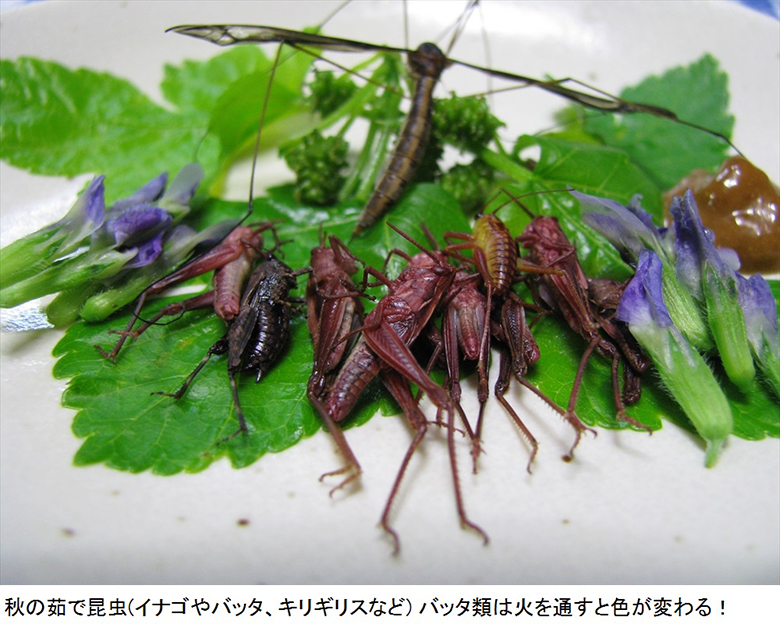 昆虫が唐揚げやアヒージョに。東京虫食いフェスティバル！ food151108_mushikui9