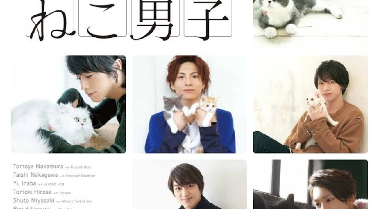 中川大志や中村倫也が登場 かわいすぎる猫とイケメン俳優が堪能出来る ねこ男子 写真展 Qetic