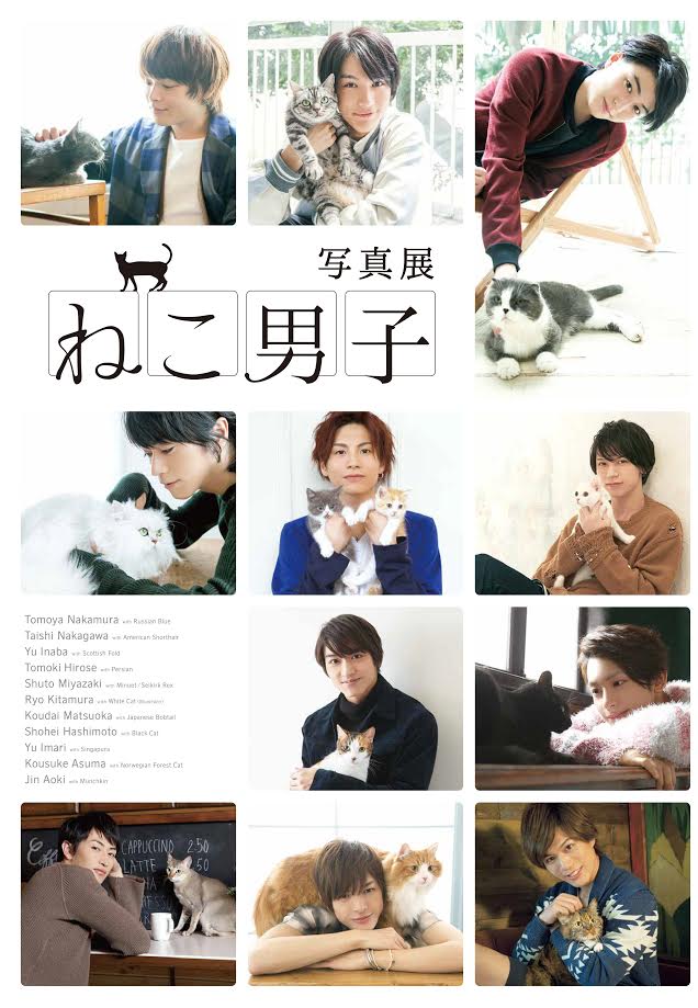 中川大志や中村倫也が登場 かわいすぎる猫とイケメン俳優が堪能出来る ねこ男子 写真展 Qetic