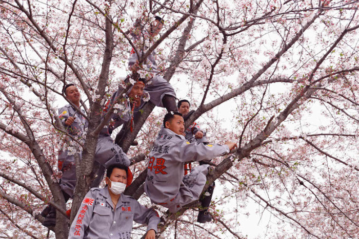 VICE JAPAN初のドキュメンタリー写真集！約3,000人のブラジル人が暮らす愛知県豊田市保見団地を切り取る！ art161125_vice_3-700x467