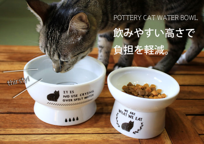 年末年始はニャンコと宴！猫に優しい食器に、人間も食べられる「猫飯」とは！？ f0f904574068269069ab6109542ec1d8-700x495