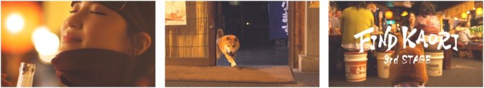 柴犬vs忍者 かくれんぼ