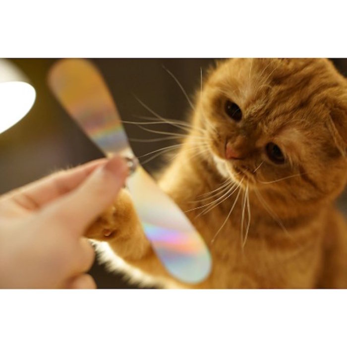 ネコだけで遊べるスマートネコおもちゃ「CatchCats」とは？ #ねこ #cat technology161221_vvstore_4-700x700