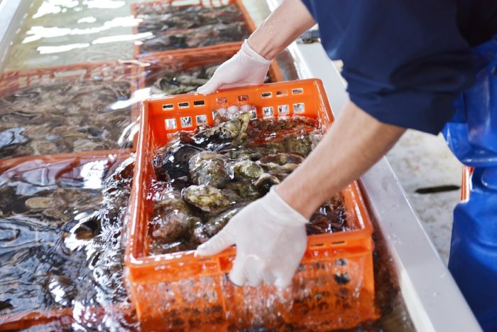 生牡蠣が特別価格で味わえる！？日本最大級オイスターバー、安心安全品質向上の5つのこだわりとは？ Food170217_oysterbar_3-700x467