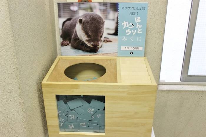 【レポート】カワウソは最高にかわいい。でも、それだけじゃない＜カワウソほんと展＞ event_170712_kawauso_18-700x467