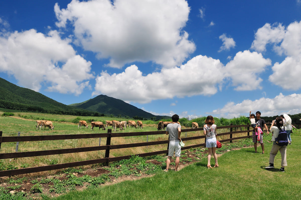 全国サイクリングコース12選 Gwに行きたい 絶景やグルメなどご当地の魅力が詰まったおすすめサイクリングロードをご紹介 Qetic