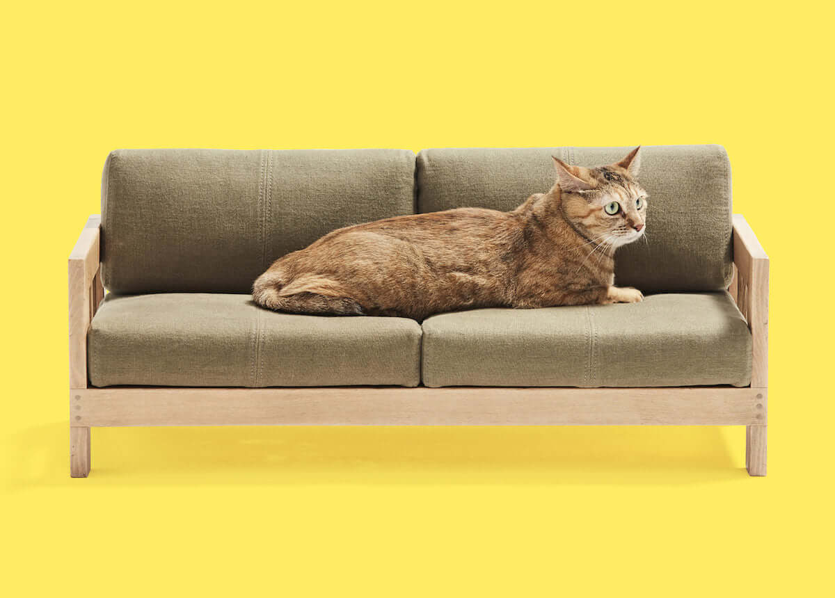 ネコがソファーでくつろぐ癒しの激かわ『ネコ家具』動画公開！ life180923_nekokagu_2-1200x860