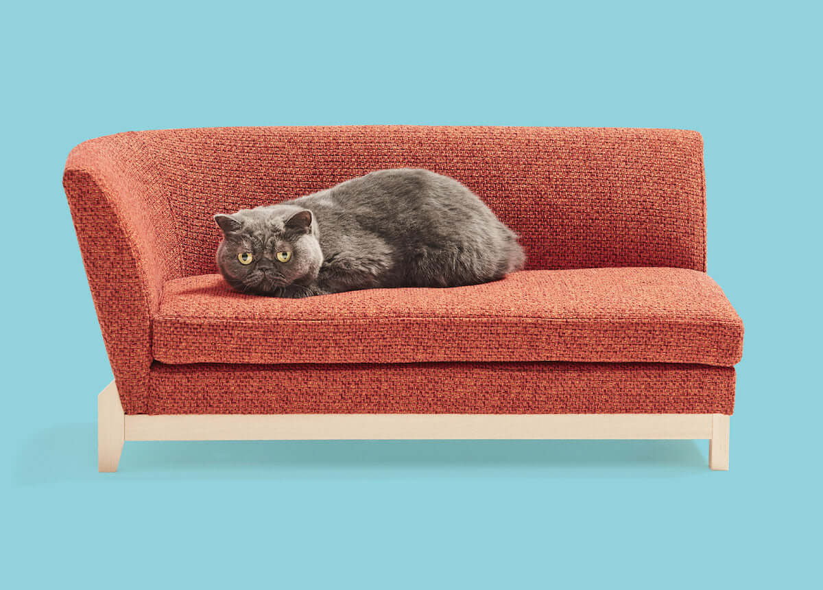 ネコがソファーでくつろぐ癒しの激かわ『ネコ家具』動画公開！ life180923_nekokagu_3-1200x860
