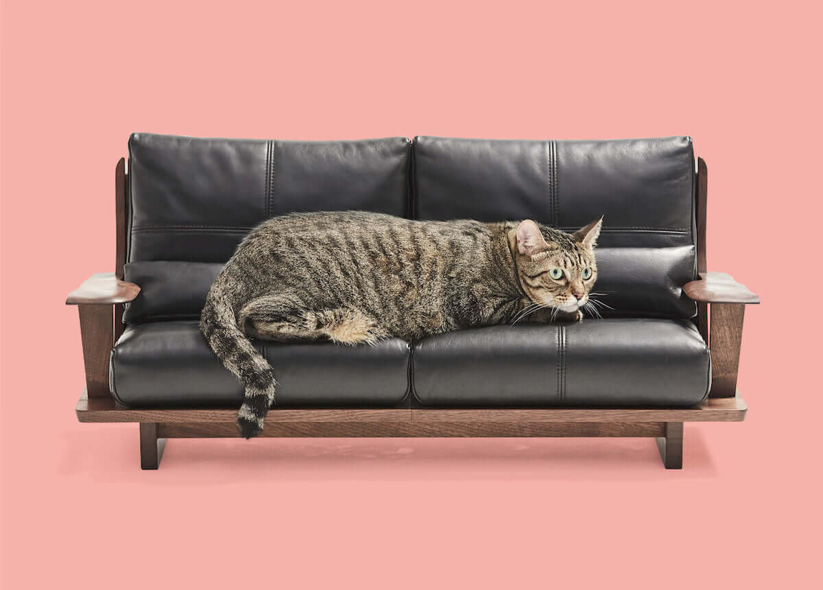 ネコがソファーでくつろぐ癒しの激かわ『ネコ家具』動画公開！ life180923_nekokagu_4-1200x860