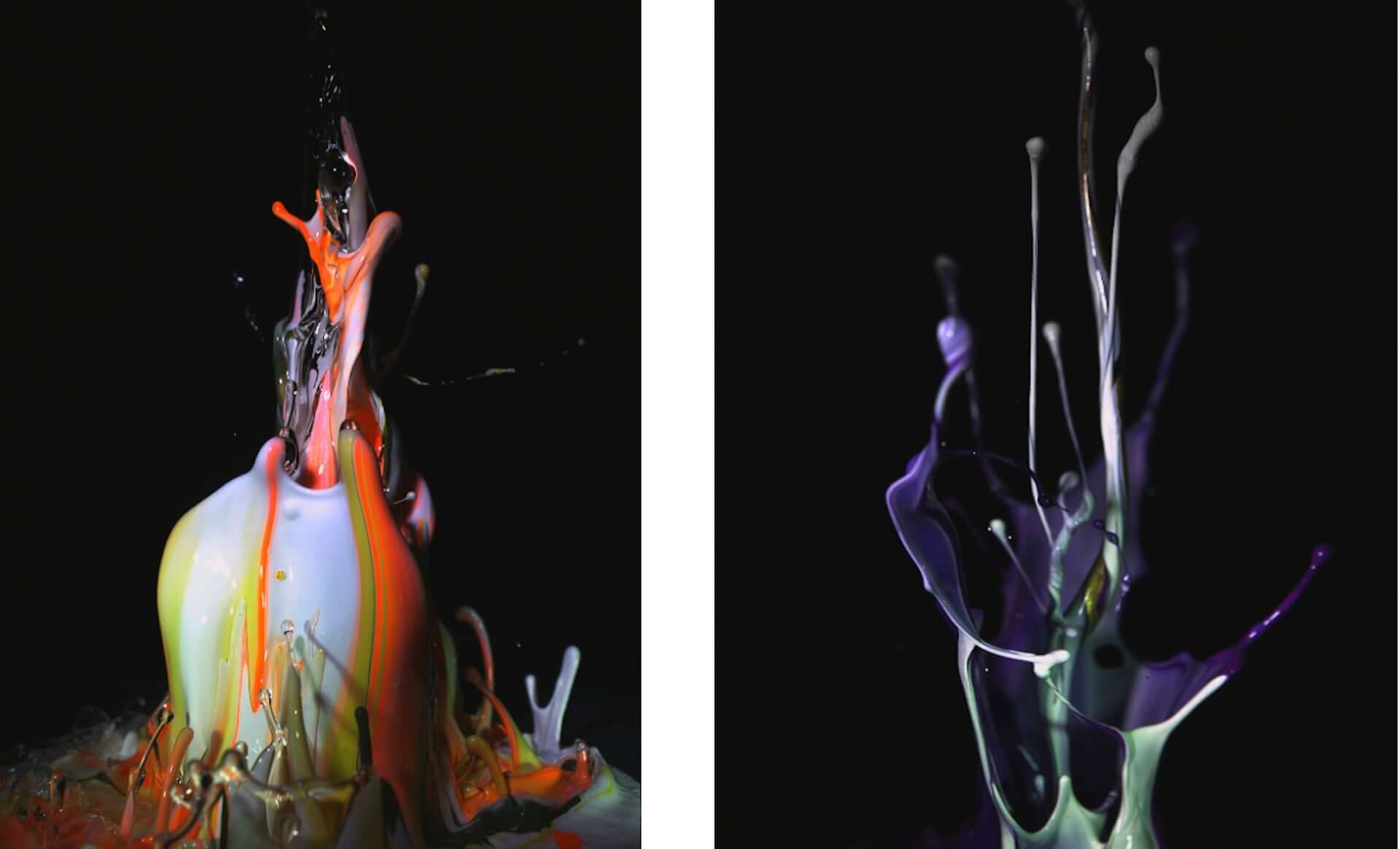 MoMAコレクションアーティスト・土佐尚子の新作NFTアート『Sound of Ikebana:音のいけばな』がオークションに登場! art210322_naokotosa_1-1920x1164 MoMAコレクションアーティスト・土佐尚子の新作NFTアート『Sound of Ikebana:音のいけばな』がオークションに登場! art210322_naokotosa_1-1920x1164