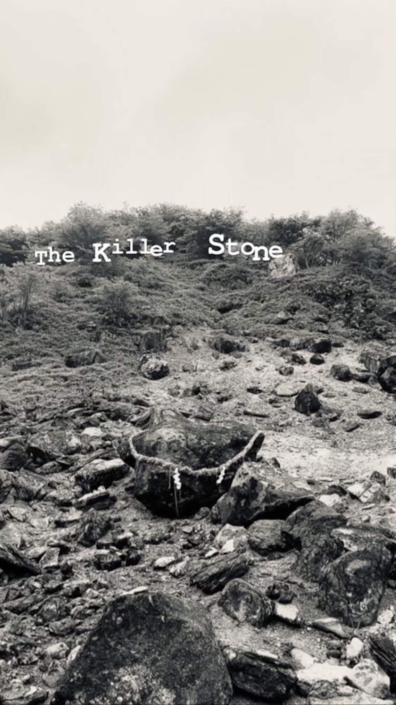 2022年那須にある殺生石が割れた──B.D. & THE KILLER STONEに刮目せよ Qetic