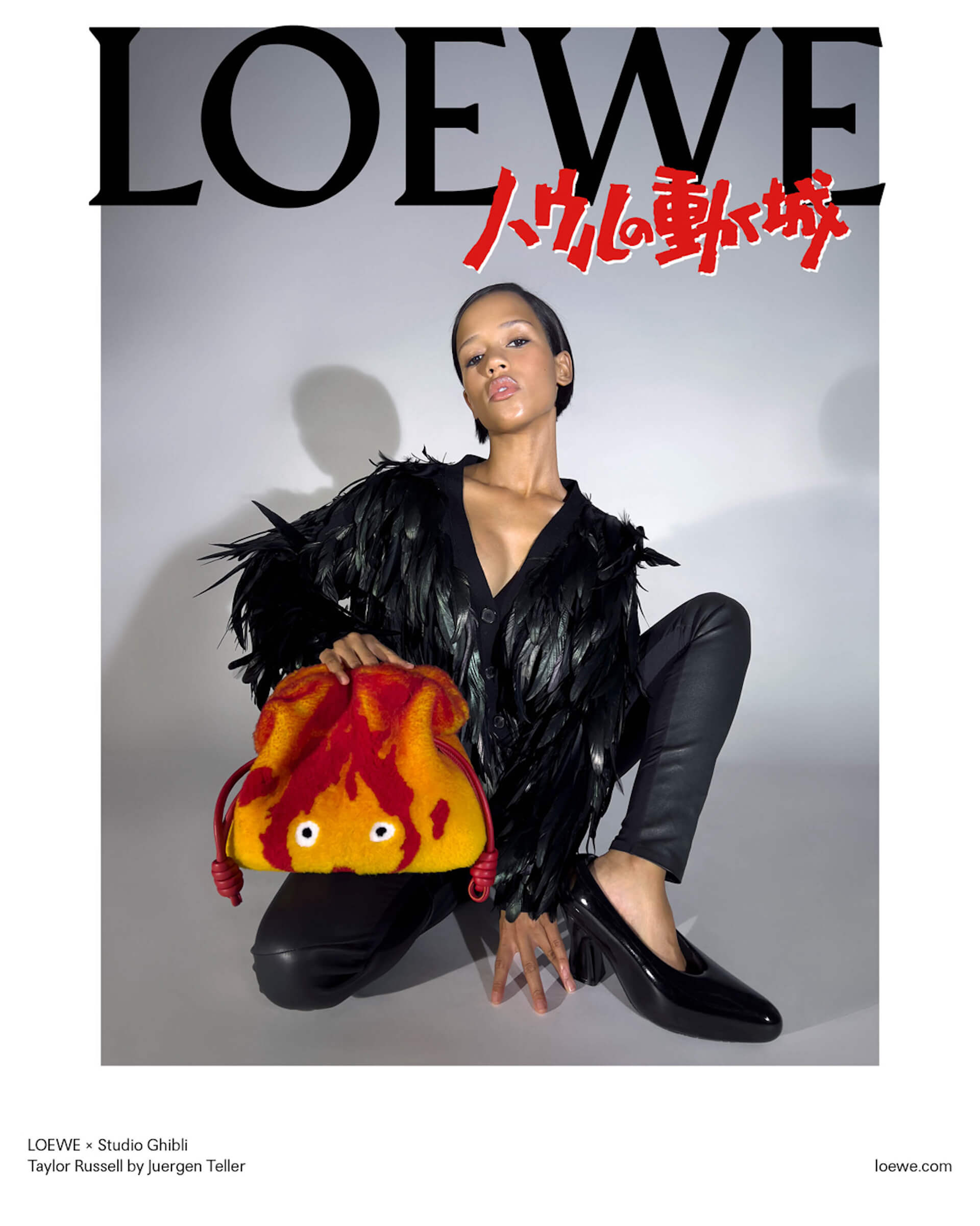 LOEWE ロエベ ハウルの動く城 カブ ダイス-